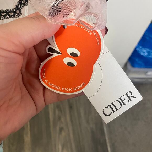 Cider NWT Mesh Tulle Lace Mini Dress Babydoll Sheer Light Pink Coquette Sz XS - Picture 4 of 12